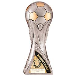 Managers Player Silver World 250mm