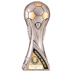 Player of the Match Silver World 250mm
