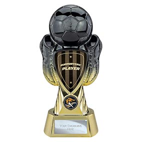 Supporters Player Gold Tournament Trophy 245mm