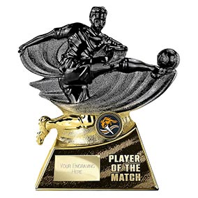 Player of the Match Gold Power Strike 180mm