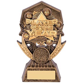 Player Of The Year Gold Allstars 145mm