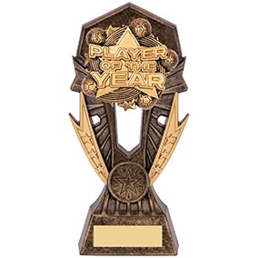 Player Of The Year Gold Allstars 185mm