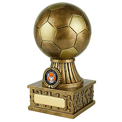 Silver Gold Football Award 200mm