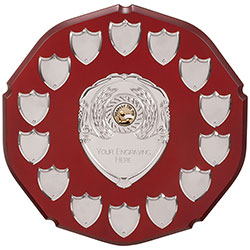 English Rose Annual Shield  265mm