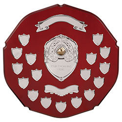 English Rose Annual Shield  365mm