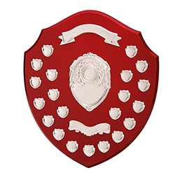 The Ultimate Annual Shield Award 405mm