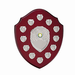 The Frontier Annual Shield Award  295mm