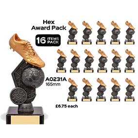 Gold Boot Silver Hex Team Pack 165mm