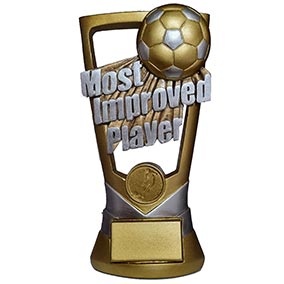 Most Improved Player Award 210mm