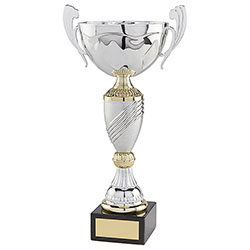 Century Cup Silver & Gold 275mm