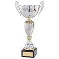 Century Cup Silver & Gold 275mm