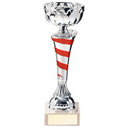 Eternity Cup Silver & Red 170mm