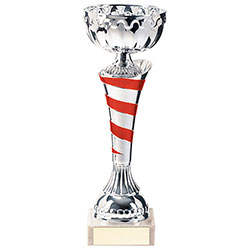 Eternity Cup Silver & Red 225mm