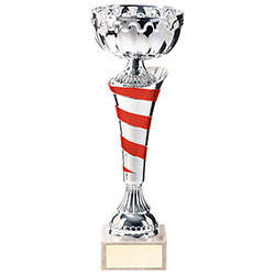 Eternity Cup Silver & Red 270mm