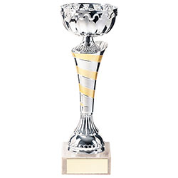 Eternity Cup Silver & Gold 170mm