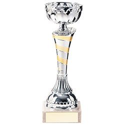 Eternity Cup Silver & Gold 190mm