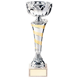 Eternity Cup Silver & Gold 270mm