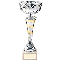 Eternity Cup Silver & Gold 300mm