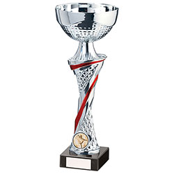 Dominion Cup Silver & Red 255mm