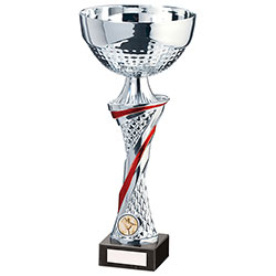 Dominion Cup Silver & Red 310mm