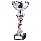 Dominion Cup Silver & Red 320mm