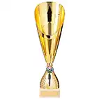 Rising Stars Deluxe Plastic Lazer Cup Gold 335mm