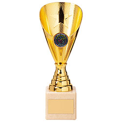Rising Stars Premium Plastic Trophy Gold 200mm