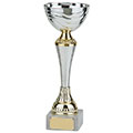 Everest Silver & Gold Cup 250mm