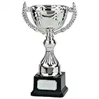 Endeavour Silver Cup 210mm