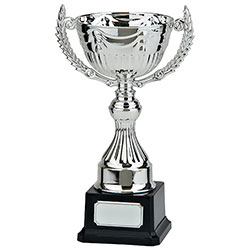 Endeavour Silver Cup 240mm
