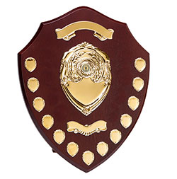 Gold Rosewood Triumph16 Complete Annual Shield 405mm
