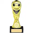 16.5cm Ball Trophy Gold