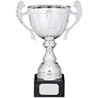 Heritage Silver Cup 305mm