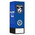 Blue Geo Icon Player of the Year