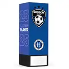 Blue Geo Icon Players' Player