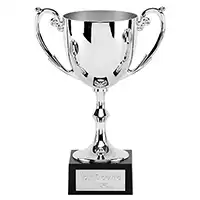 Silver Recognition Cast Cup 15cm