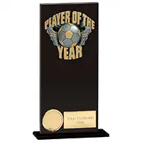 Euphoria Hero Player of the Year Award 200mm