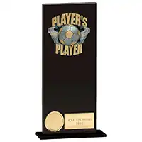 Euphoria Hero Players Player Award 200mm