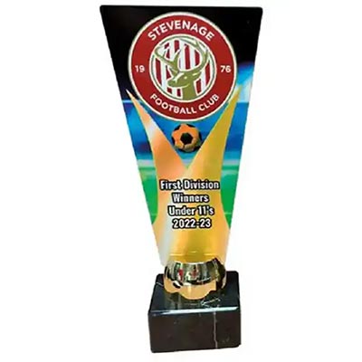 Full Colour Custom Football Award 28cm