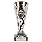 Silver Carnival Cup Silver 15cm