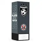 Grey Shield Opposition Player of the Match 17cm