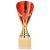 Rising Stars Premium Plastic Trophy Gold & Red 200mm - view 1