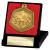 65mm Falcon Football Medal in Case Gold - view 1