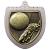 75mm Cobra Football Medal Silver - view 1
