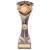 Falcon Football Fair Play Award 240mm - view 1