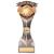 Falcon Football Fair Play Award 220mm - view 1