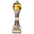 240mm Falcon Football Referee Award - view 1