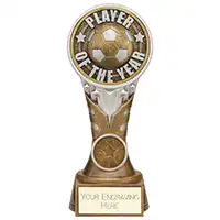 Ikon Tower Player of the Year Award 175mm