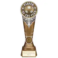 Ikon Tower Player of the Year Award 225mm