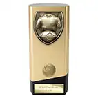 Gold Prime Cobra Football Trophy 160mm